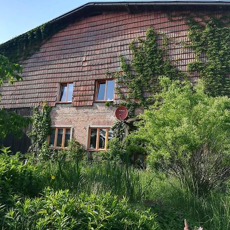 Ferien In Der Scheune Dettmannsdorf Eksteriør billede