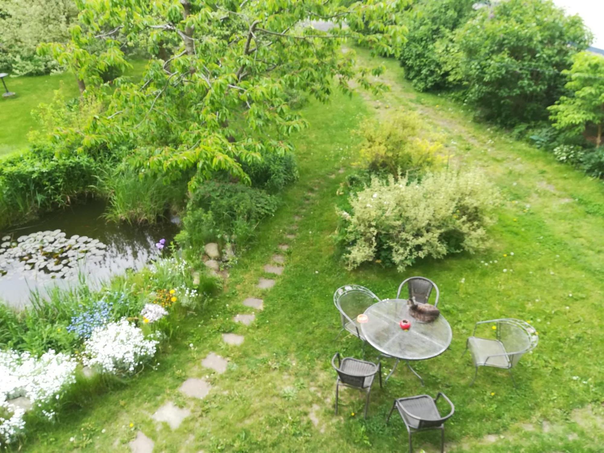 Ferien In Der Scheune Dettmannsdorf Eksteriør billede