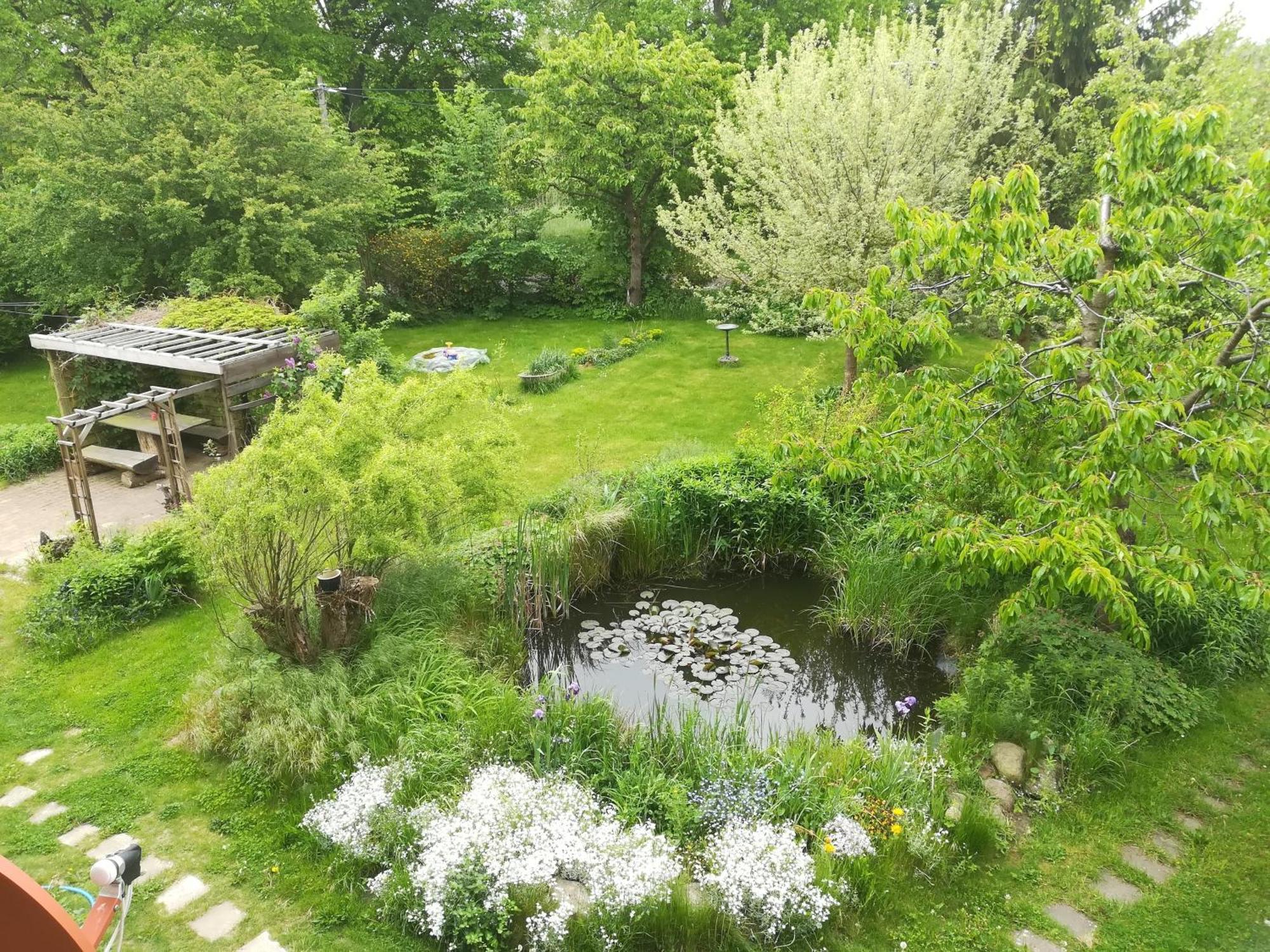Ferien In Der Scheune Dettmannsdorf Eksteriør billede